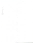 Bassett Hound Dogs - Vintage Photograph