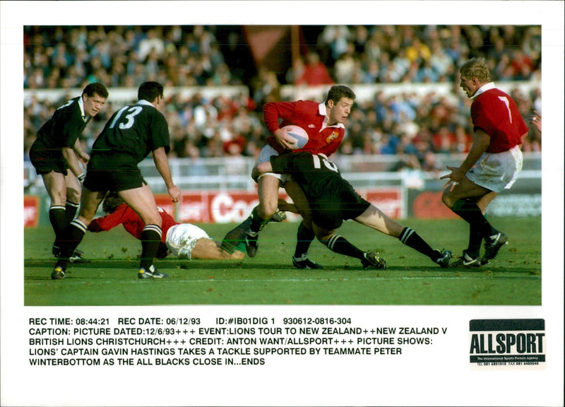 Rugby British Lions Tour 1993 - Vintage Photograph