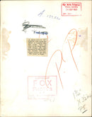 Malayan tigress at london zoo. - Vintage Photograph