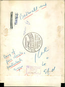 Tigers at Whipsnade Zoo swimming in the pool. - Vintage Photograph