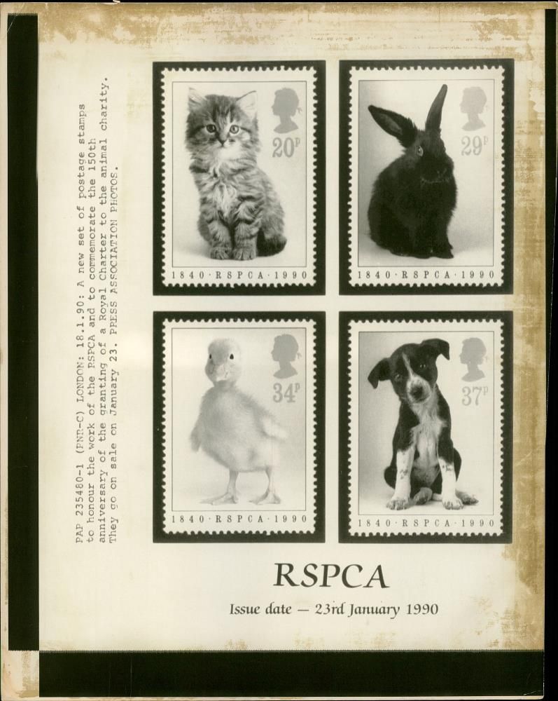 The RSPCA Stamp the royal charter to the animal charity. - Vintage Photograph