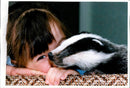 Animal Badger - Vintage Photograph