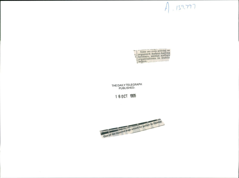 Injured Dogs seized by Police. - Vintage Photograph