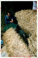 Animal Badger - Vintage Photograph