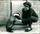 Animal Badger with Ruth Murray. - Vintage Photograph