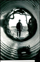 Animal Badger, Peter carringan. - Vintage Photograph