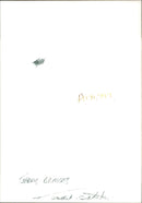 Animal Badger, Gerry Bromces. - Vintage Photograph