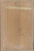 Animal Baboon. - Vintage Photograph