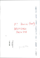 Animal Baboon. - Vintage Photograph