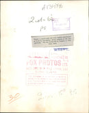 A seven week old olive Baboon abandoned at birth. - Vintage Photograph