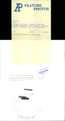 Animal Aoudad - Vintage Photograph