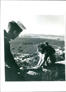 Animal Barbary Ape in Gibraltar. - Vintage Photograph