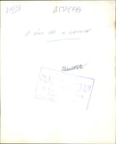 A Rock Ape in Gilbartar. - Vintage Photograph