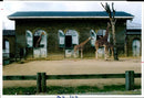 The Giraffe house London Zoo. - Vintage Photograph