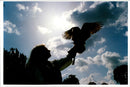 Falconer wendy aliker holds a european owl up to  the sky. - Vintage Photograph