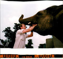 The elephant man with  dilberta elephant. - Vintage Photograph