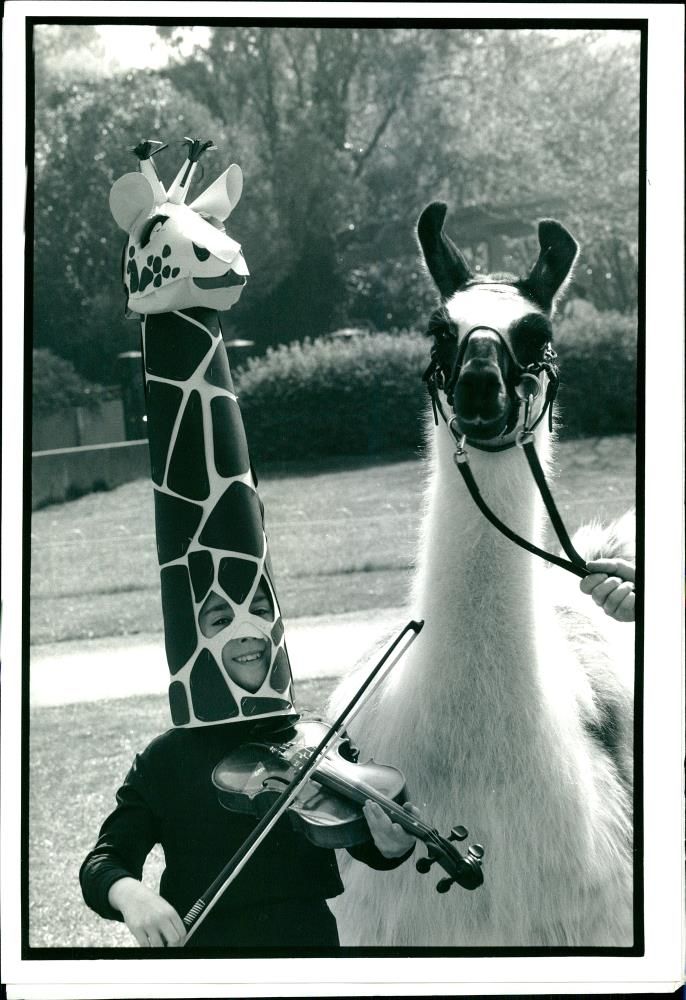 Louisa baldwin wearing the giraffe he.ad - Vintage Photograph