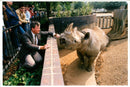 David Jones with Old Black Rhino. - Vintage Photograph