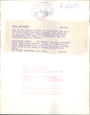 Animal Sloth. - Vintage Photograph