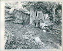 A rough hut found near the murder scene. - Vintage Photograph