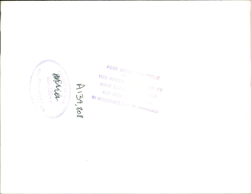 British dogs stamp. - Vintage Photograph