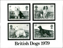 British dogs stamp. - Vintage Photograph