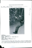 An Imaginary enemy while crossing the Miljacka River. - Vintage Photograph