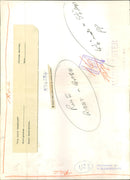 Starling Bird. - Vintage Photograph