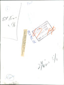 The Hoopoe Bird - Vintage Photograph