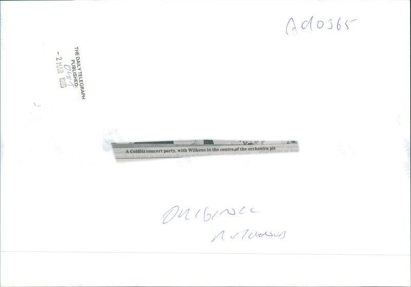 1995 MAR THE DATATISUEGRAPH COLDITZ CONCERT PARTY WITH WILKENS CEN - Vintage Photograph