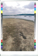 WRITER COUNTRY - Vintage Photograph