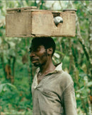 1995 ANIMAL DETECTIVES TRACK DOWN CATCHERS AND MIDDLEMEN PRESS CAPITAL TELEVISION - Vintage Photograph