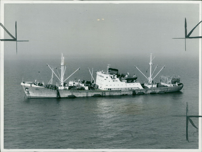 One of the fleet's depot ships. - Vintage Photograph