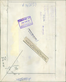 Indian Mongoosees. - Vintage Photograph