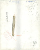 Mongoose Nursery. - Vintage Photograph