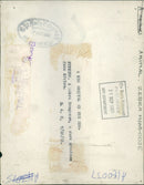 Zebra Mongoose. - Vintage Photograph