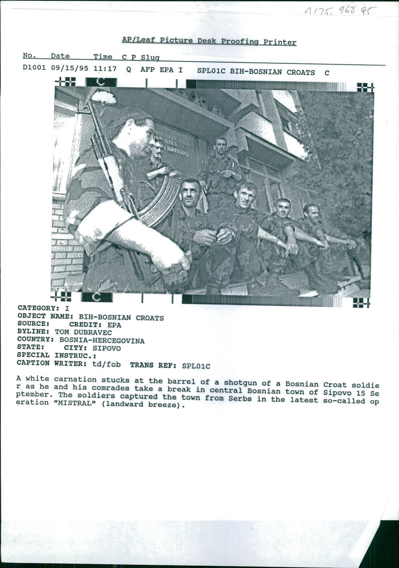A white carnation stucks at the barrel of the shotgun of a Bosnian Croat soldier. - Vintage Photograph
