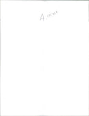 A man walks in the sniper avenue. - Vintage Photograph