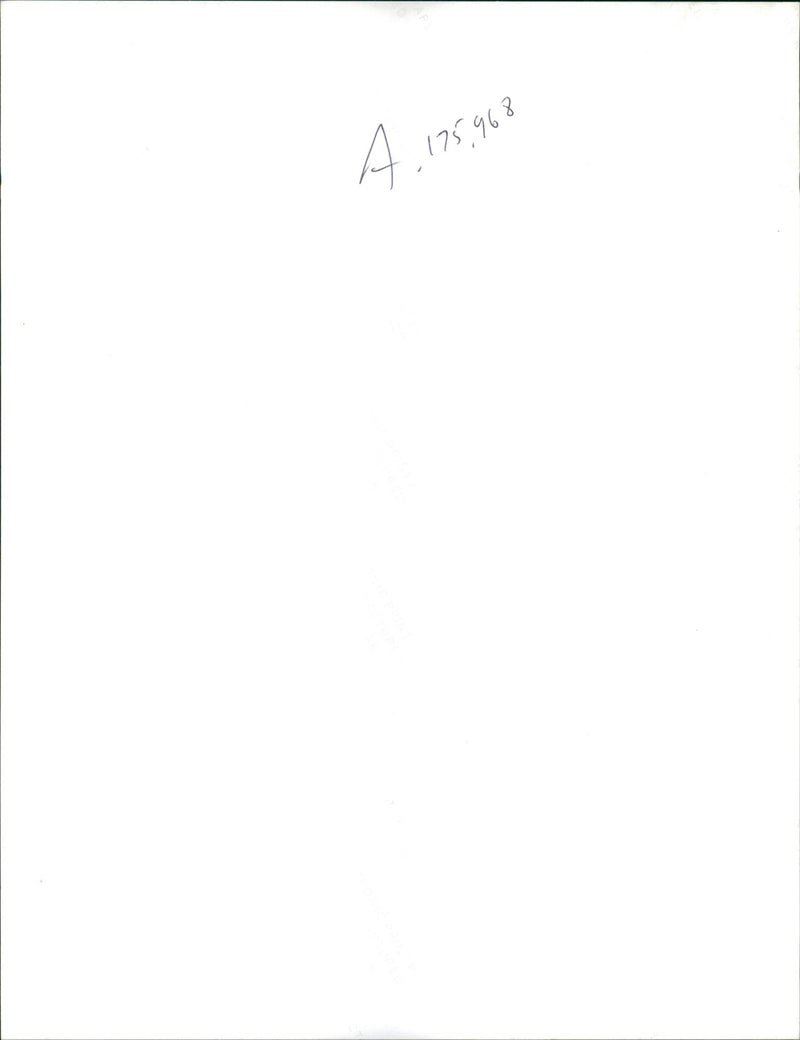 A man walks in the sniper avenue. - Vintage Photograph