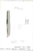 Carl Hiaasen - Vintage Photograph