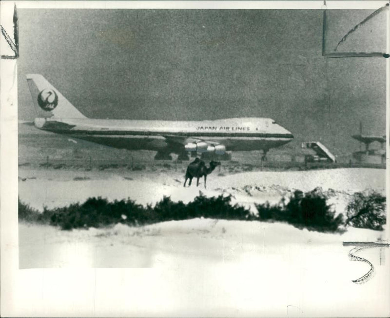 Aircraft Skyjacking Boeing 747 at Dubai - Vintage Photograph