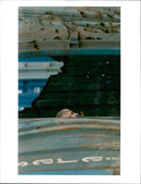 1995 SCHOOLS SARA JEVO SUSPENDED CLASSES DAVID BRENCHLEY WAR WRITER UNITED - Vintage Photograph