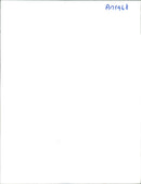 Bosnia soldiers line up. - Vintage Photograph