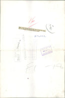 Mr Allan Oswald and his wife holding the eagles. - Vintage Photograph