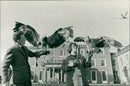 Mr Allan Oswald and his wife holding the eagles. - Vintage Photograph