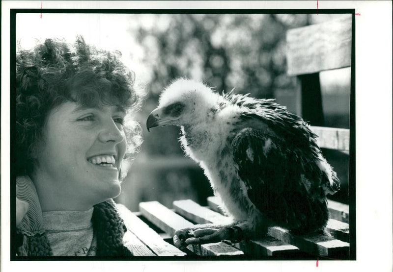 Tawny Eagle being admired by Melanie Gilbert. - Vintage Photograph