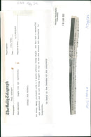 Bruce Berry with a African tawny eagle. - Vintage Photograph