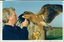 Bruce Berry with a African tawny eagle. - Vintage Photograph