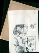 Bird Eagle. - Vintage Photograph