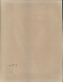 Jessie the fly away Eagle. - Vintage Photograph